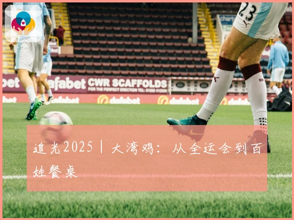 追光2025｜大湾鸡：从全运会到百姓餐桌