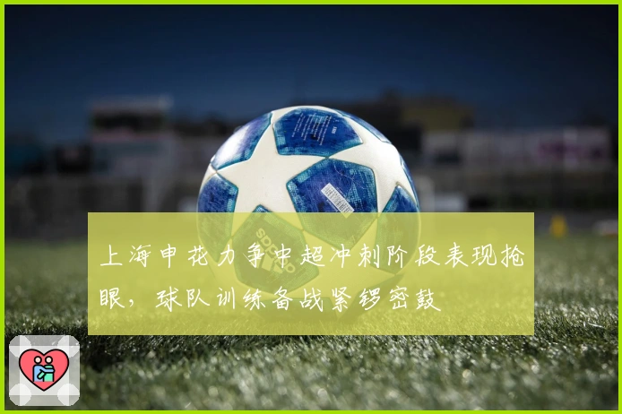 上海申花力争中超冲刺阶段表现抢眼，球队训练备战紧锣密鼓