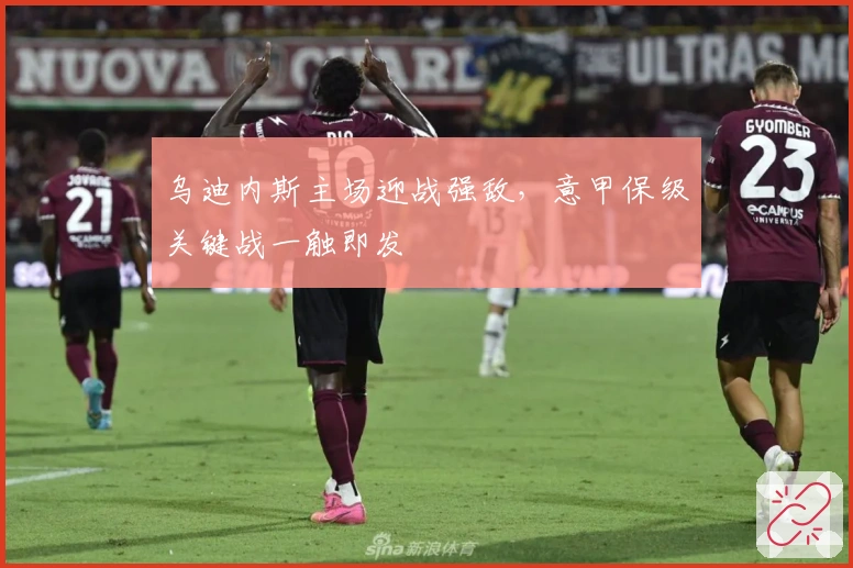 乌迪内斯主场迎战强敌，意甲保级关键战一触即发