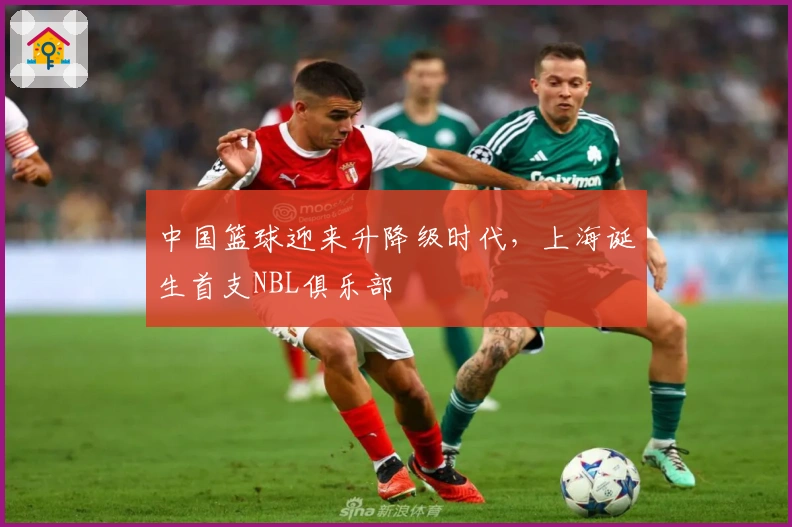 中国篮球迎来升降级时代，上海诞生首支NBL俱乐部