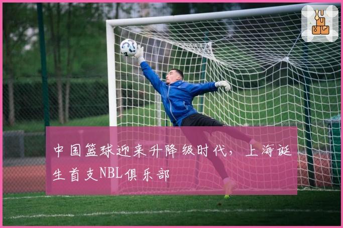 中国篮球迎来升降级时代，上海诞生首支NBL俱乐部